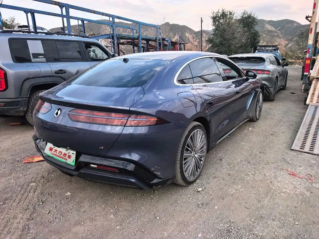 Denza Denza Z9 — миниатюра 4