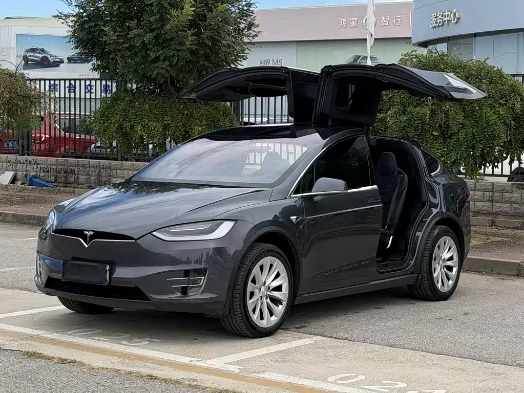 Tesla Model X — миниатюра 9