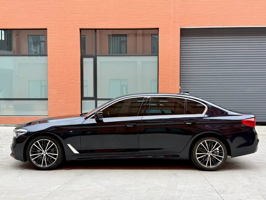 BMW 5 Series 5 2020 530Li Premium M Sport