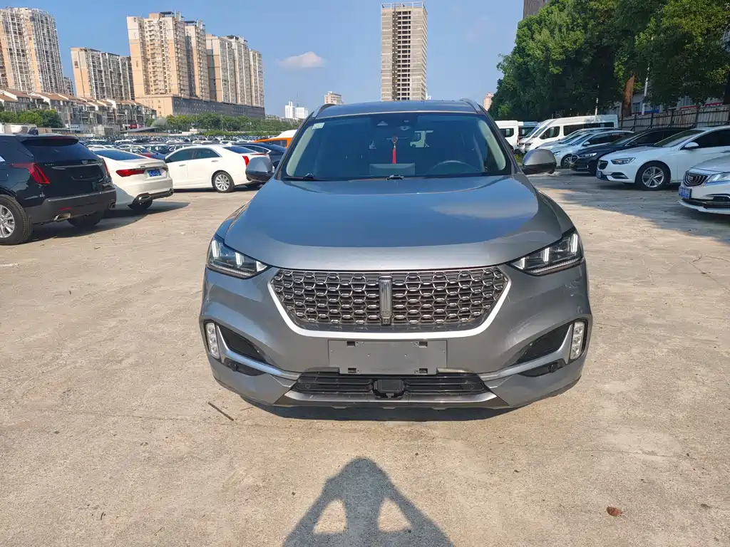 Wey Wey VV6 — миниатюра 2