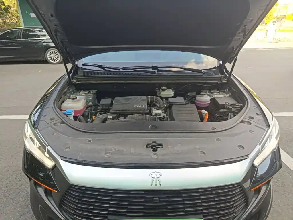 BYD Pro New Energy — миниатюра 20
