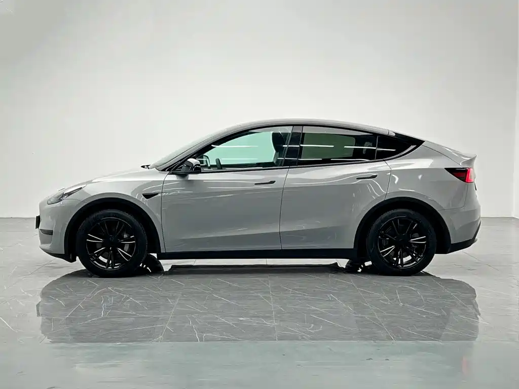 Tesla Model Y — миниатюра 3