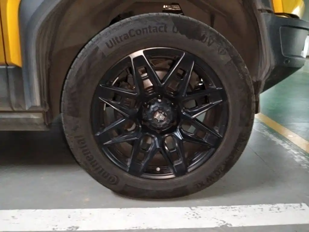 Fang Cheng Bao Leopard 5 — миниатюра 26