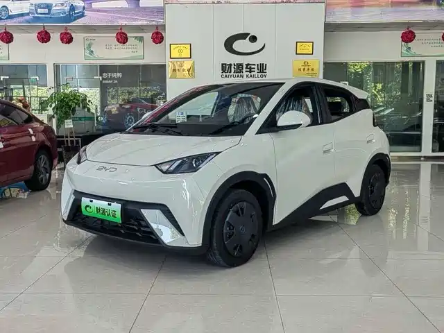 BYD SEAGULL 2025