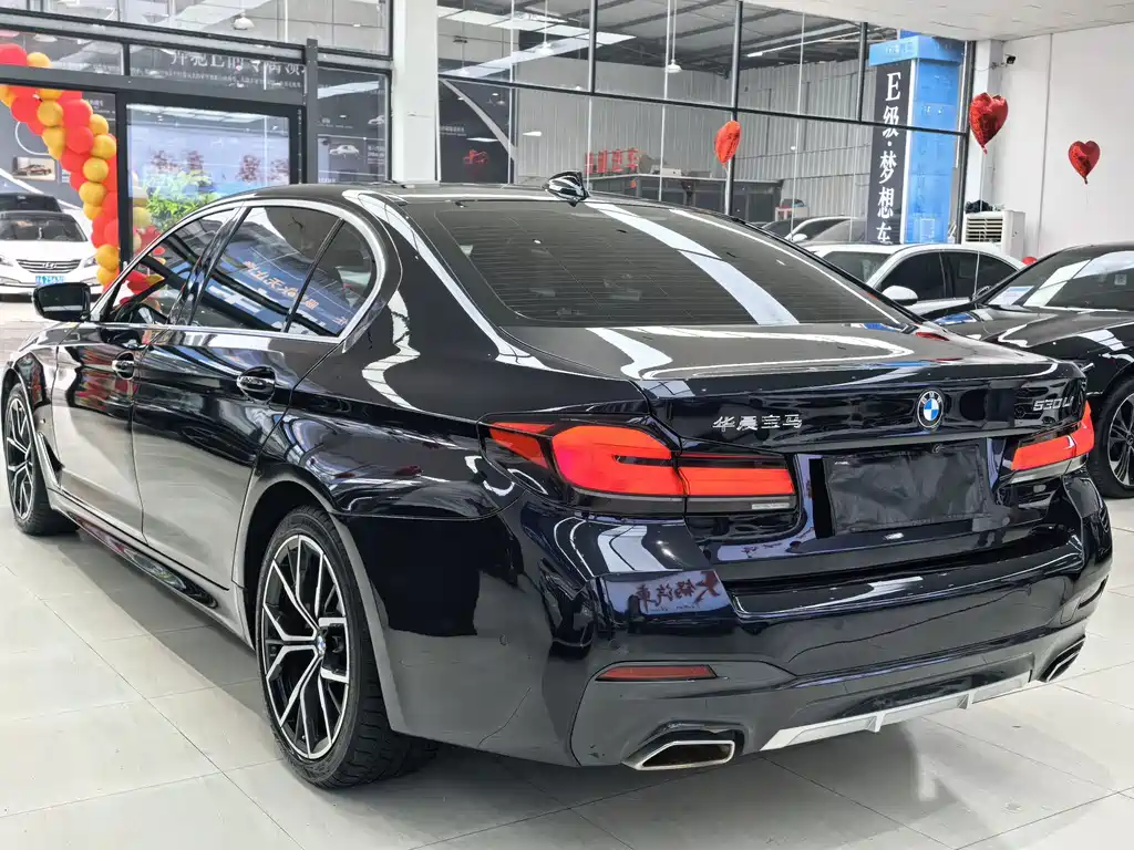 BMW 5 Series — миниатюра 4