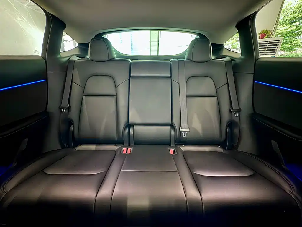 Tesla Model Y — миниатюра 9