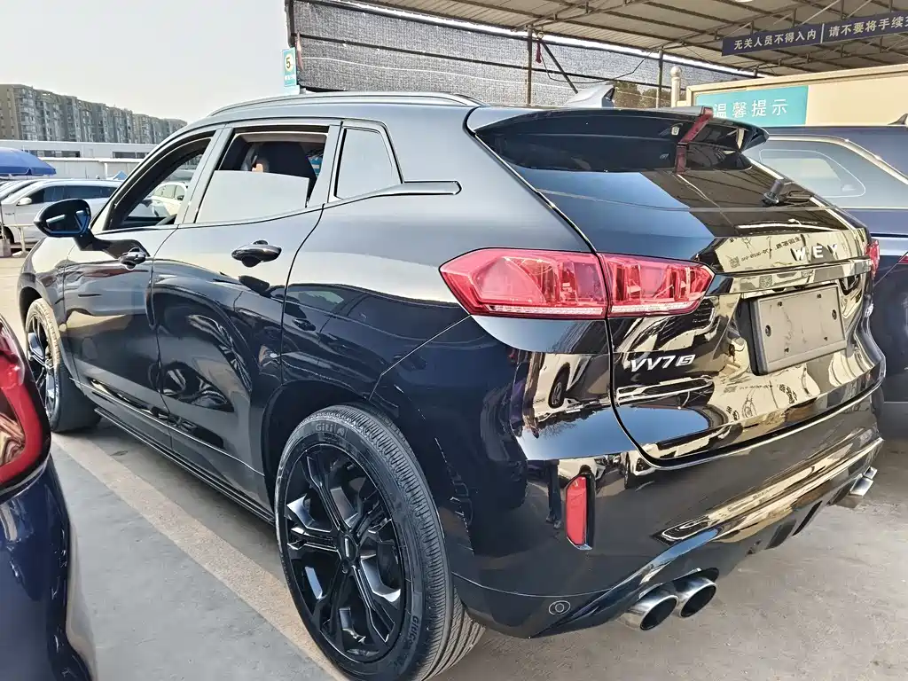 WEI PAI WEI BRAND VV7