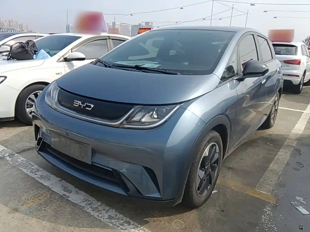 BYD Dolphin
