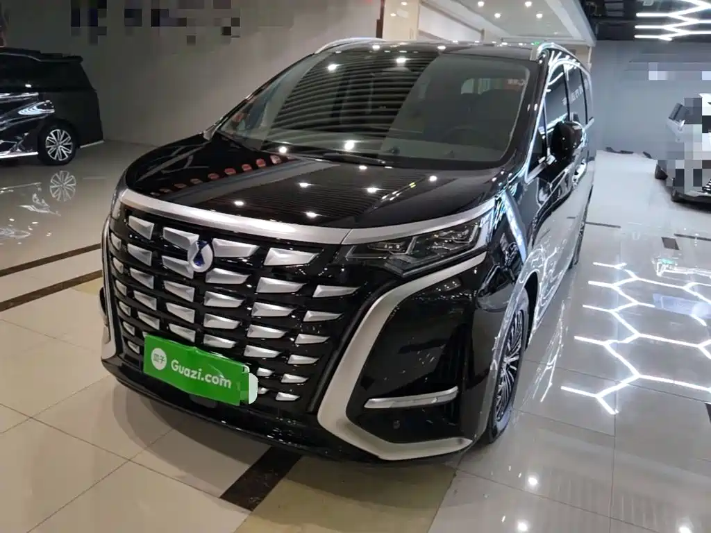 Denza Denza D9 — миниатюра 2