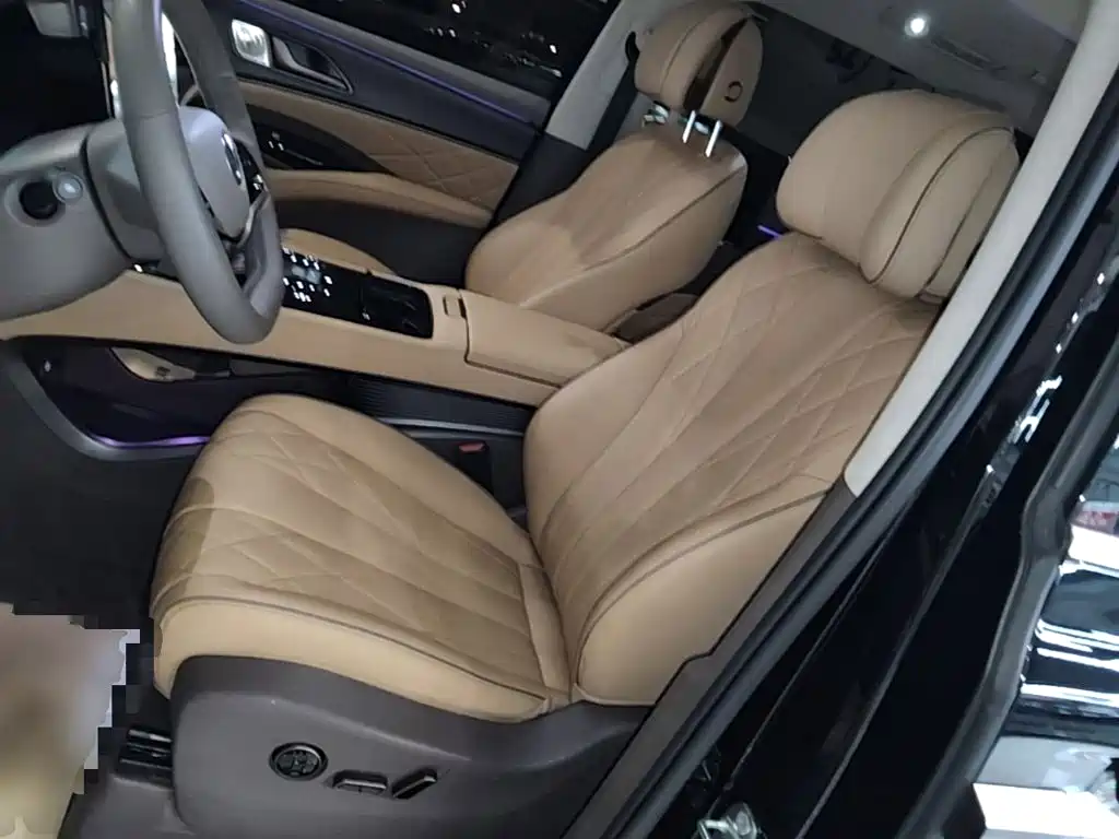Denza Denza D9 — миниатюра 15