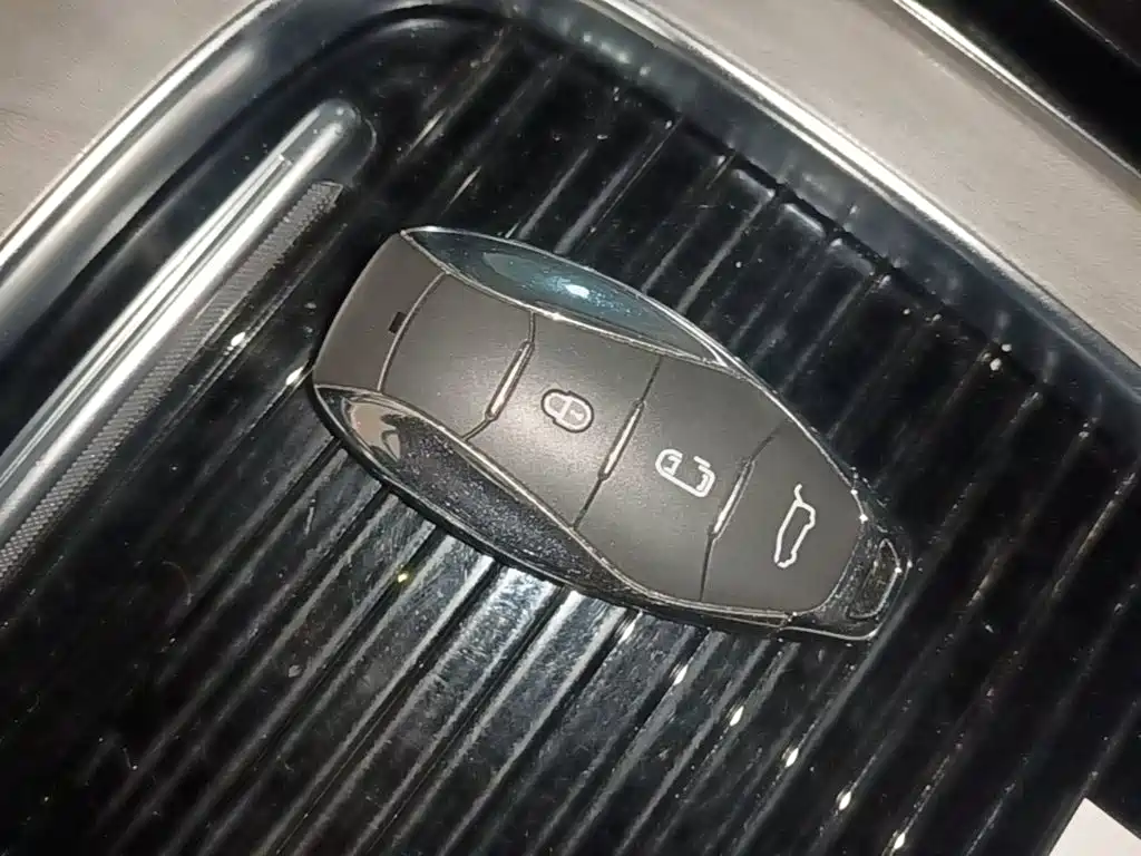 Hongqi Hongqi HQ9 PHEV — миниатюра 9