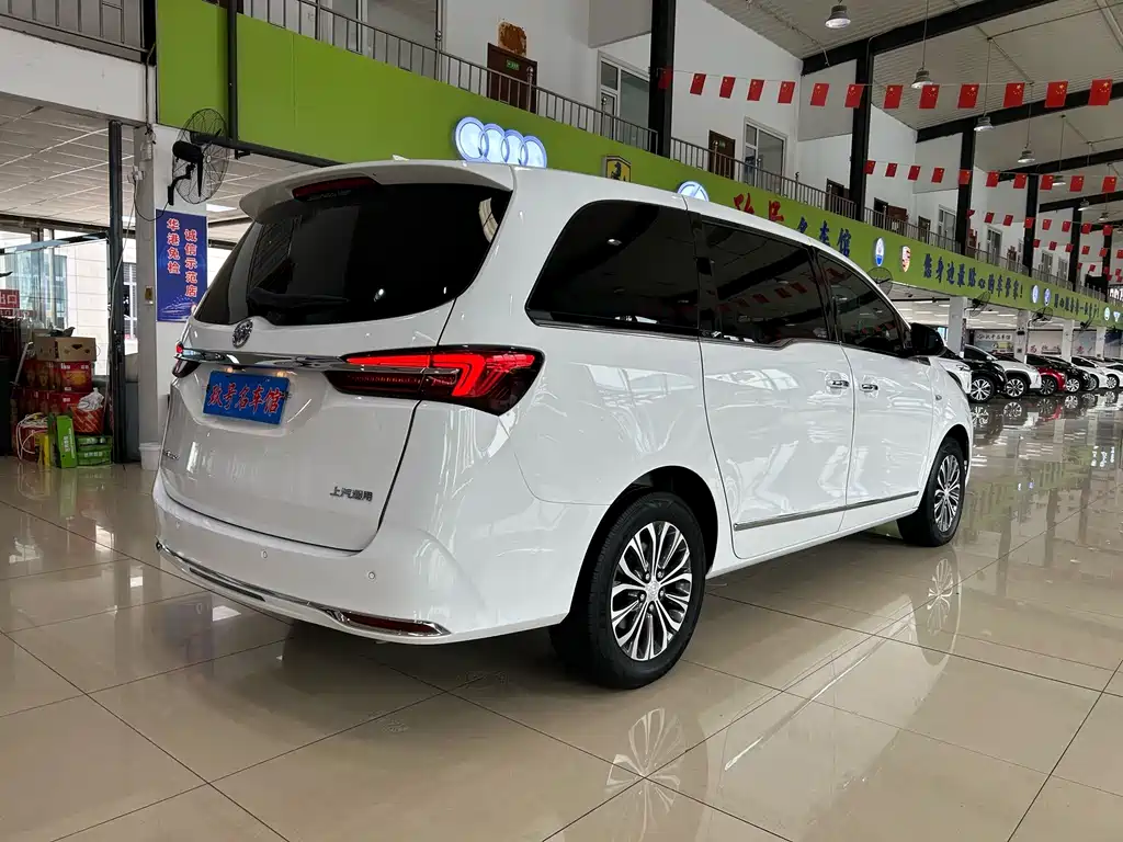 Buick GL8 — миниатюра 9