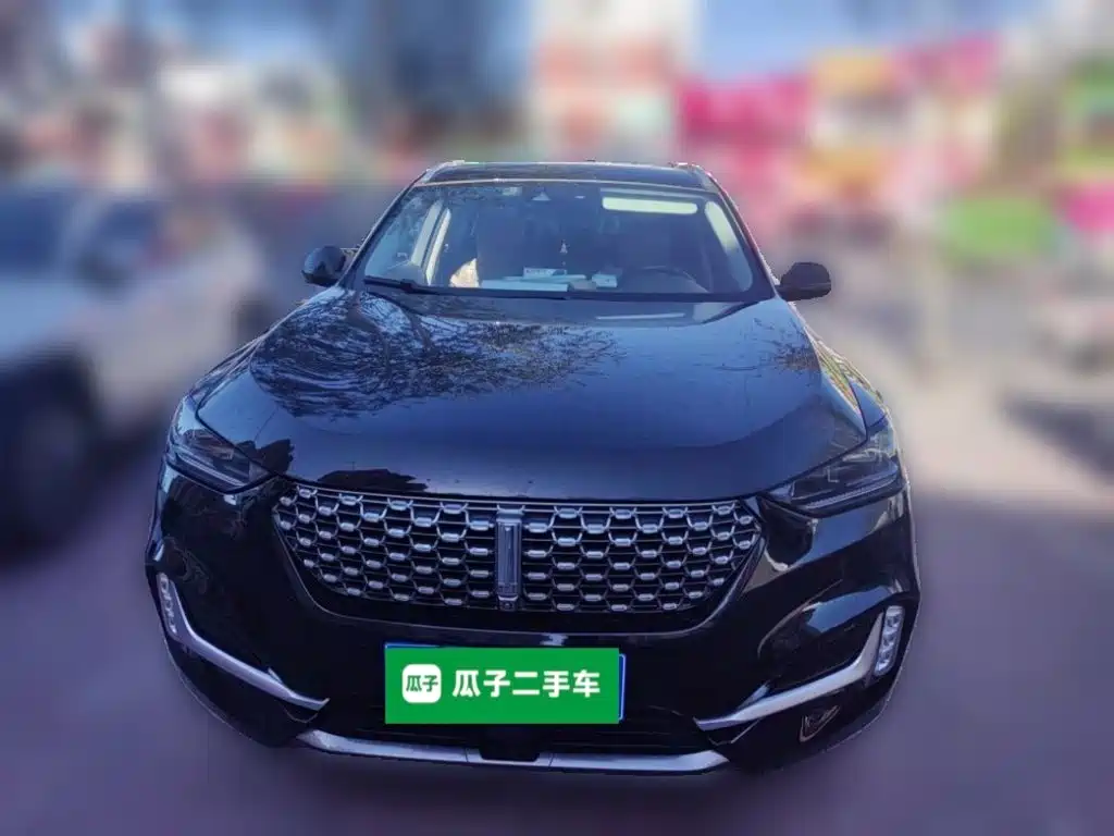 Wey Wey VV6 — миниатюра 24