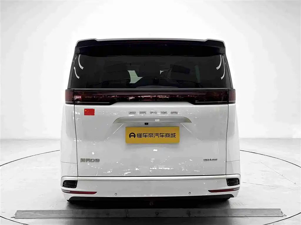 Denza Denza D9 — миниатюра 19
