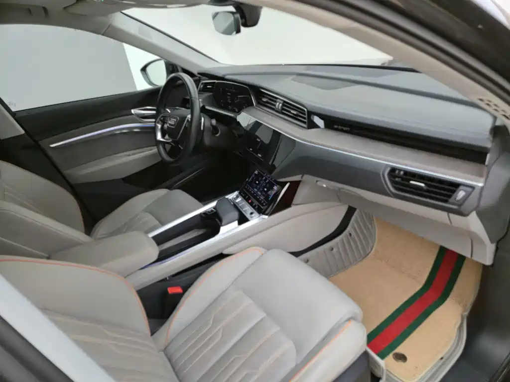 Audi e-tron (Import) — миниатюра 20