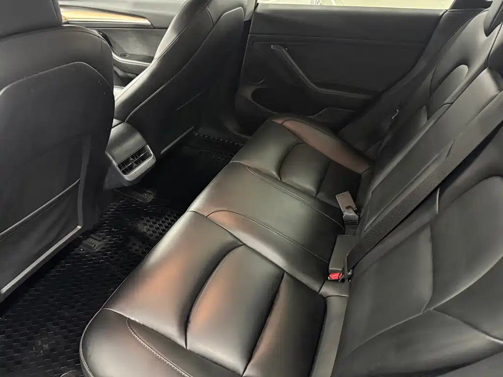 Tesla Model 3 — миниатюра 9