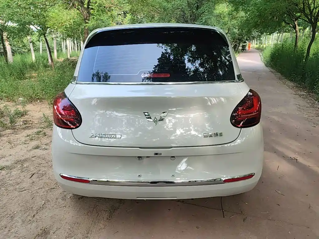 Wuling Binguo 2023 203km