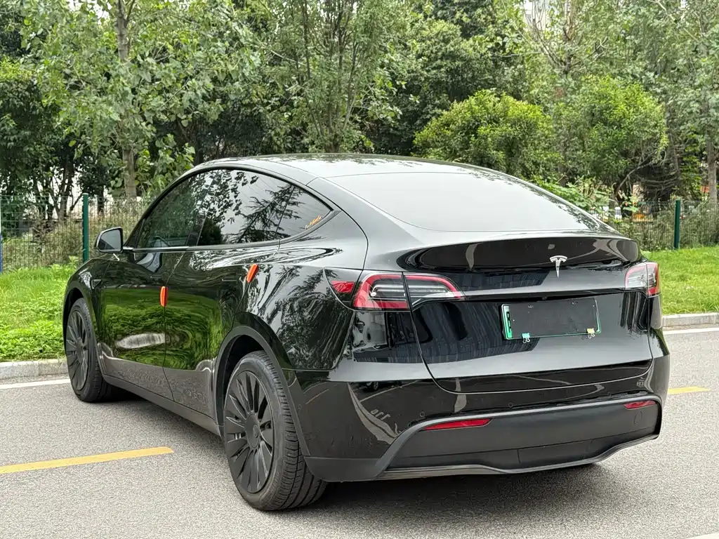Tesla Model Y — миниатюра 9