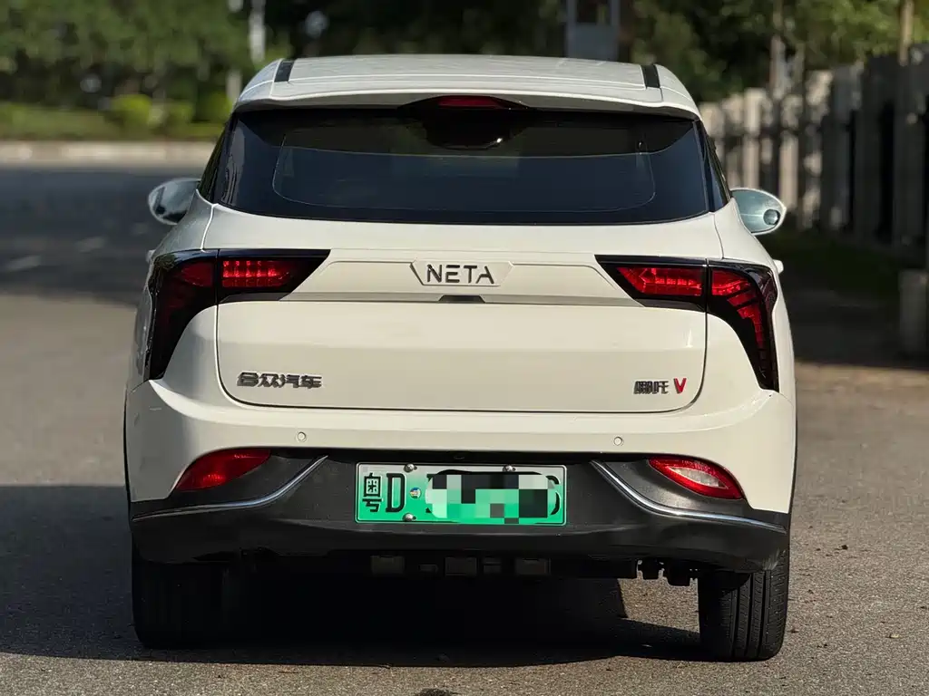 Neta Neta V — миниатюра 8