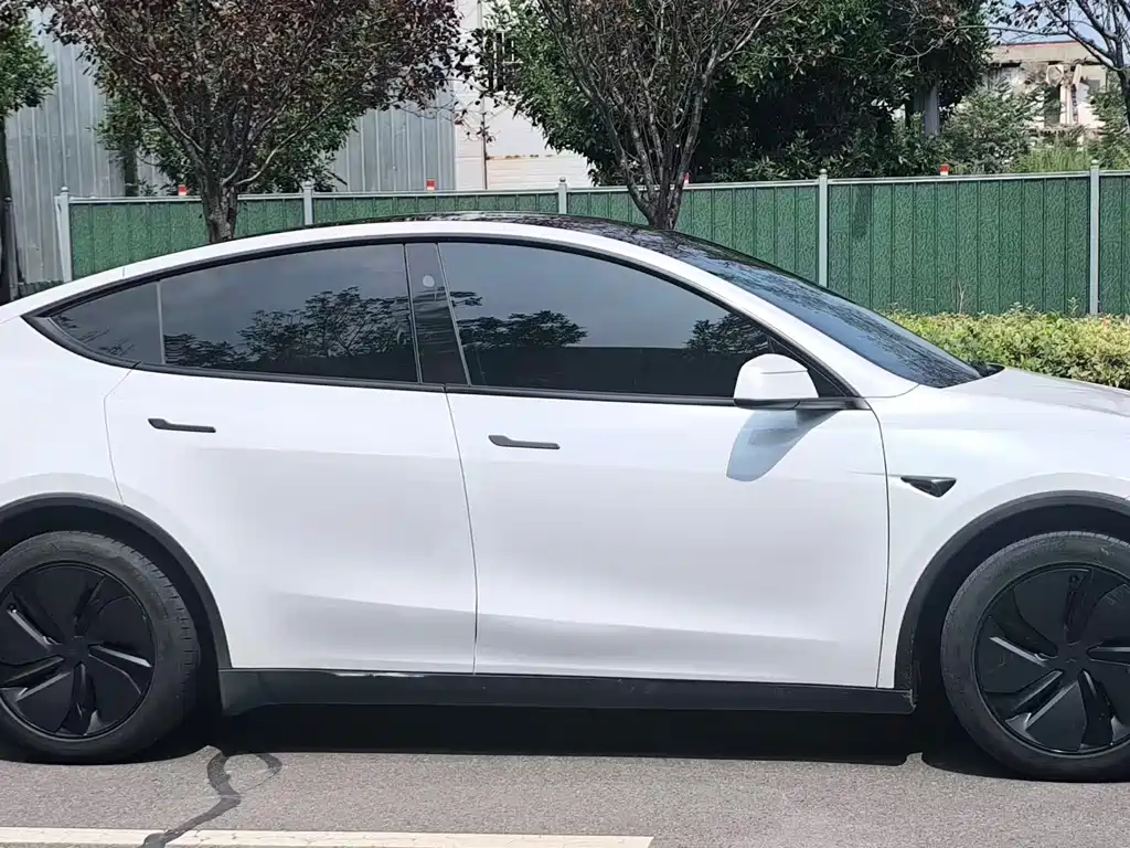 Tesla Model Y — миниатюра 10