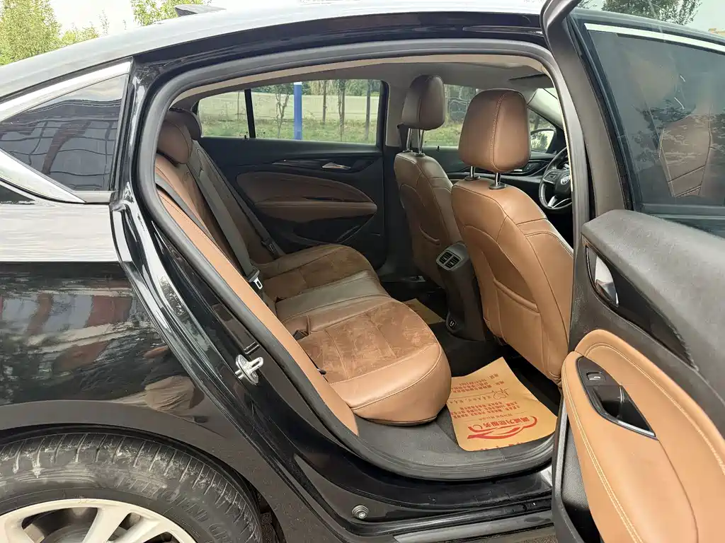 Buick Regal — миниатюра 11