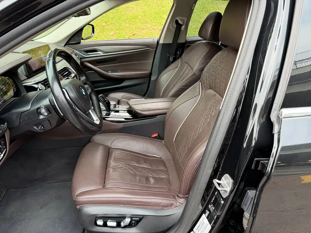 BMW 5 Series 5 2020 530Li Premium Luxury