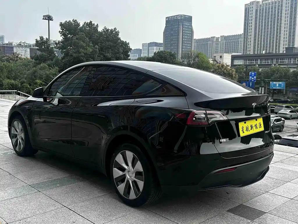Tesla Model Y — миниатюра 6