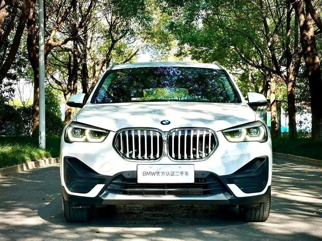 BMW X1 — миниатюра 2