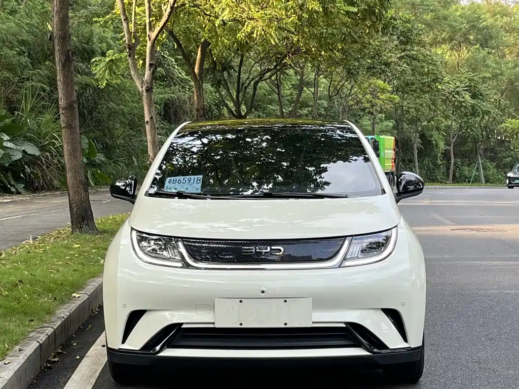 BYD Dolphin — миниатюра 2