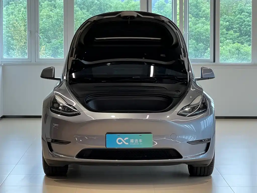 Tesla Model Y — миниатюра 15