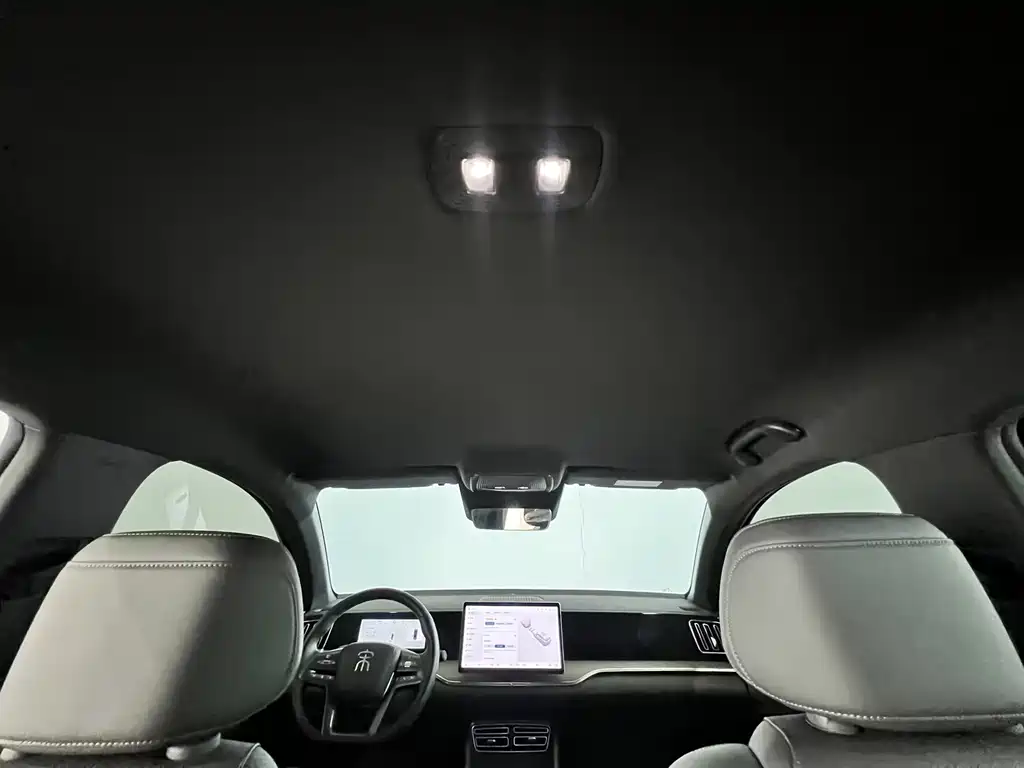 BYD Pro New Energy — миниатюра 27
