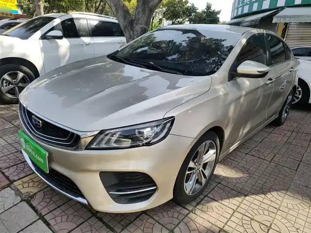 2019 Geely Binrui