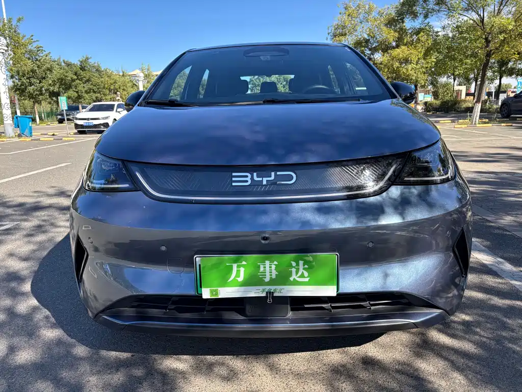 BYD Dolphin — миниатюра 31