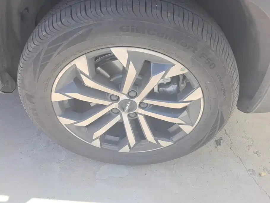 Haval 长城大狗 — миниатюра 6