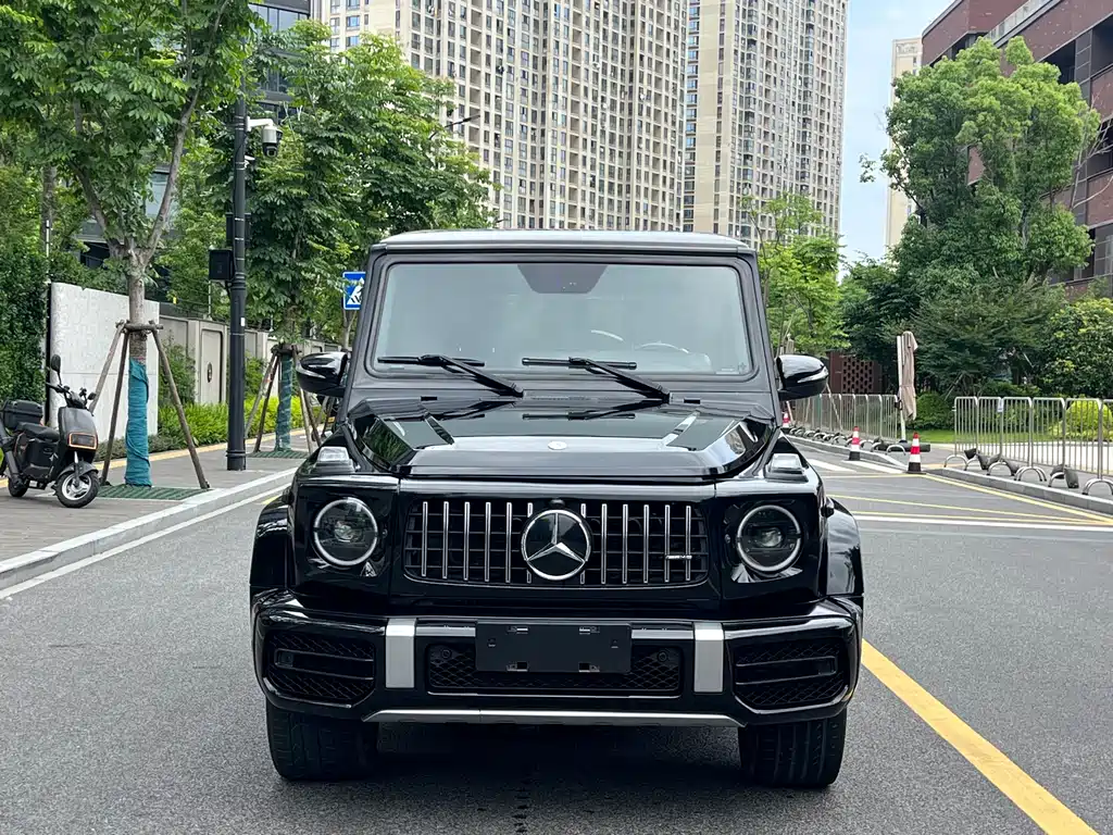 Mercedes-Benz G-Class A MG G AMG 2009 AMG G 55