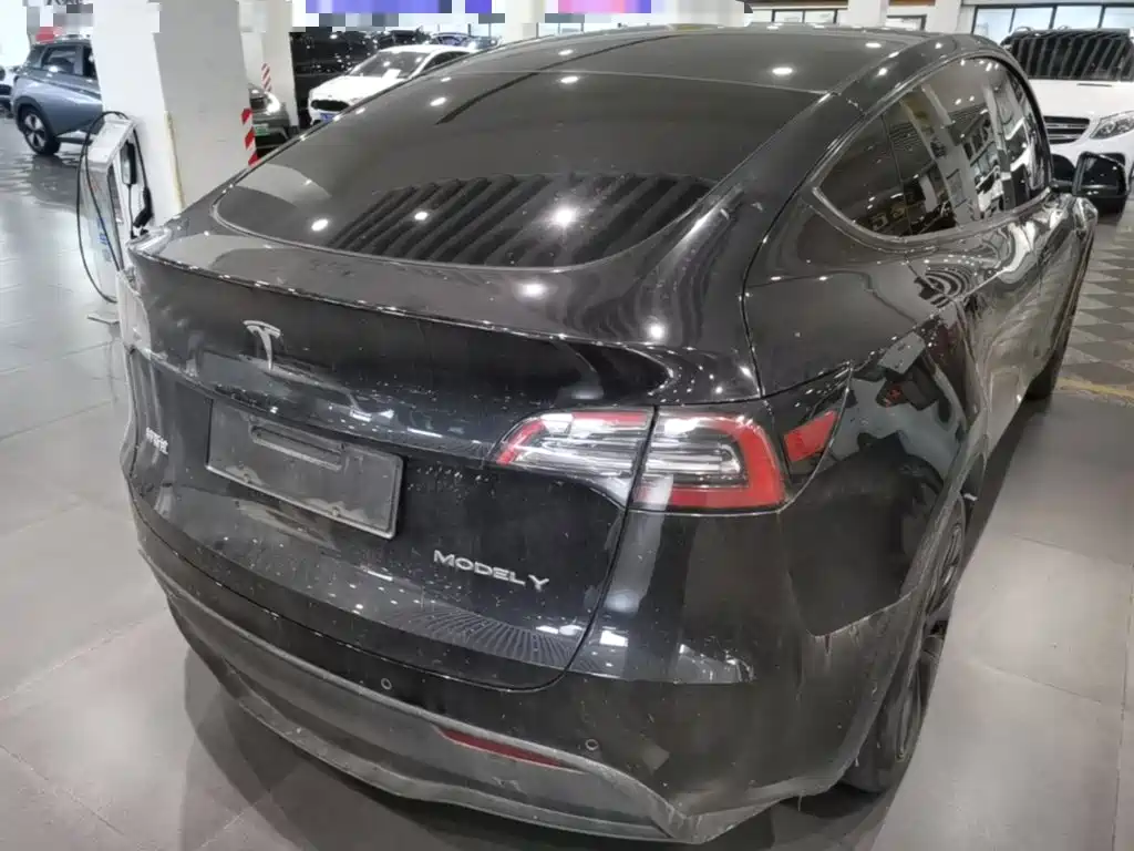Tesla Model Y — миниатюра 7