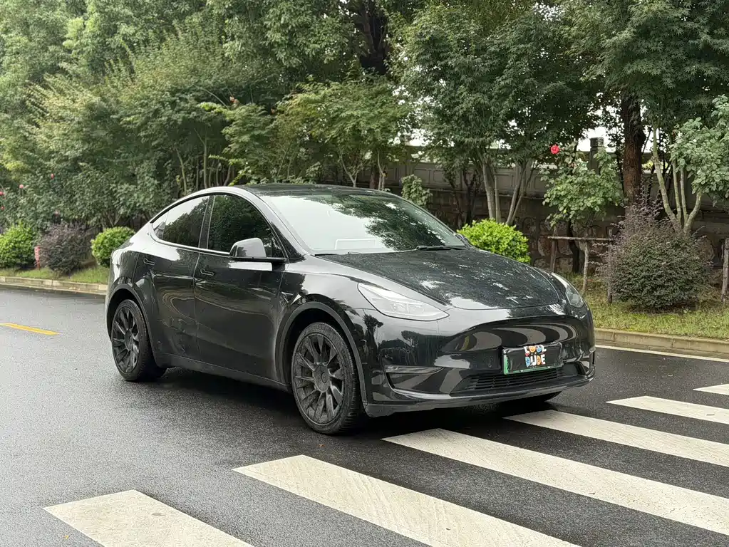 Tesla Model Y — миниатюра 3