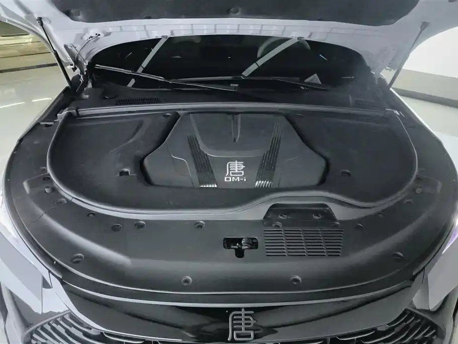 BYD Tang 2025 DM-i 115KM