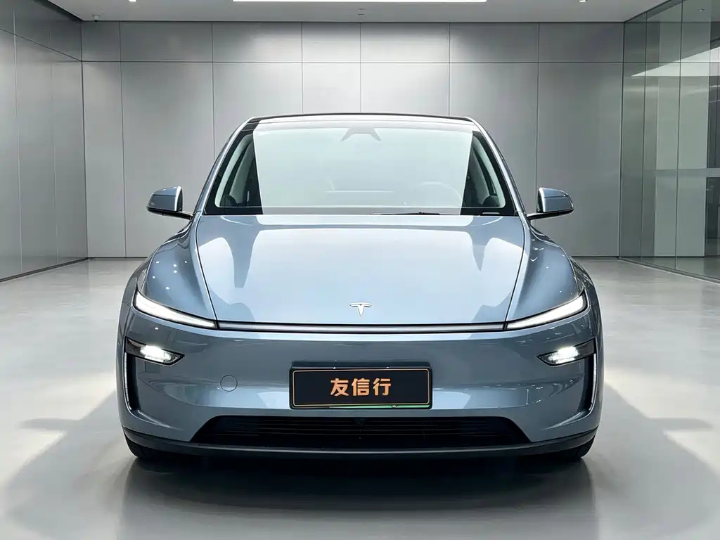 Tesla Model Y — миниатюра 2