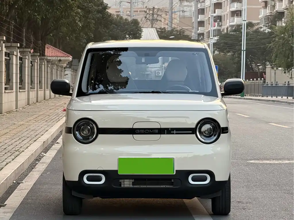 GEELY GALAXY PANDA