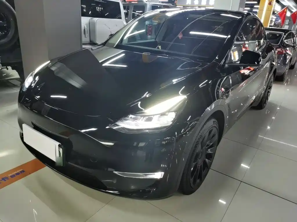 Tesla Model Y — миниатюра 2