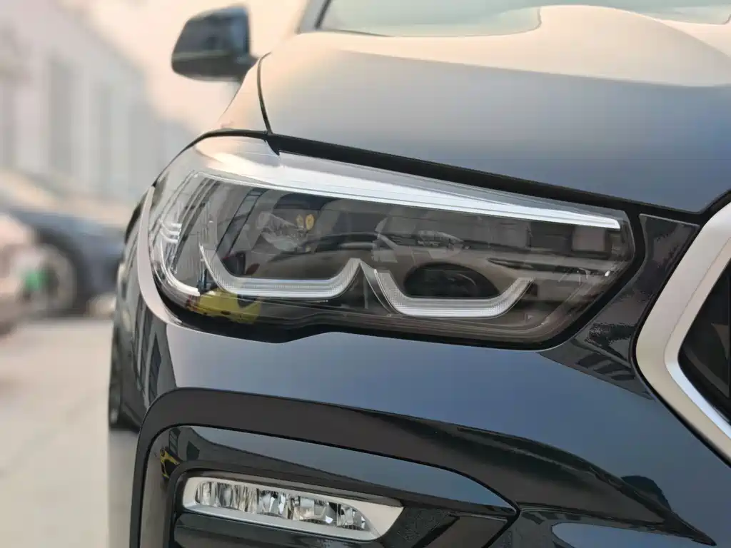 BMW X6 2021 xDrive30i M Sport