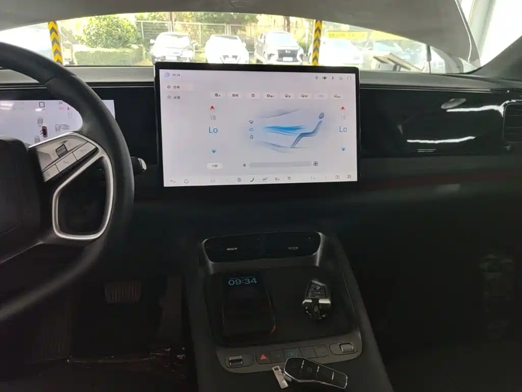 BYD Sealion 06 — миниатюра 13