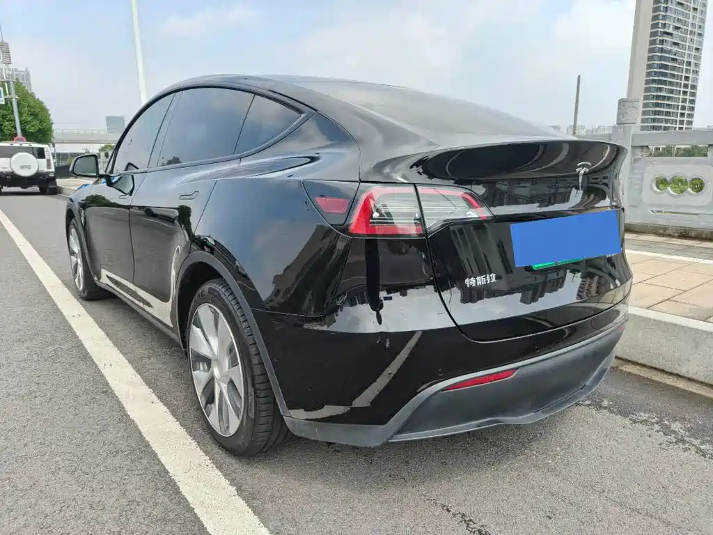 Tesla Model Y — миниатюра 6