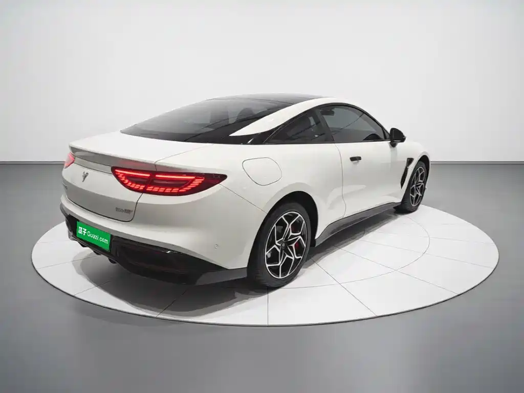 Neta Neta GT — миниатюра 6