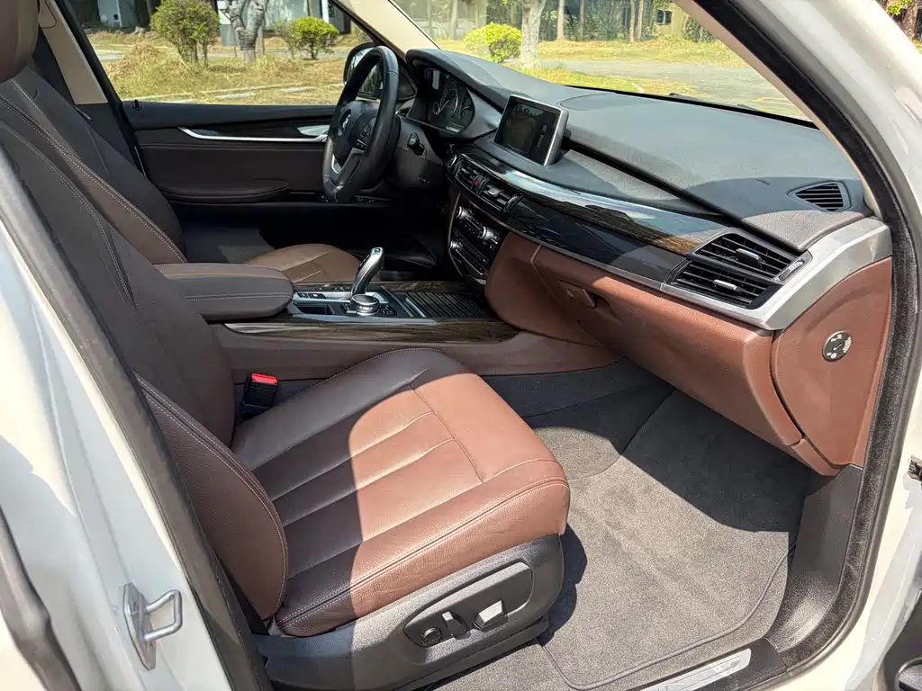 BMW X5 (Import) — миниатюра 10
