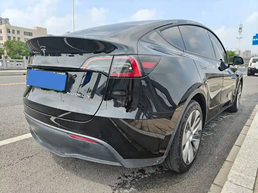 Tesla Model Y — миниатюра 4