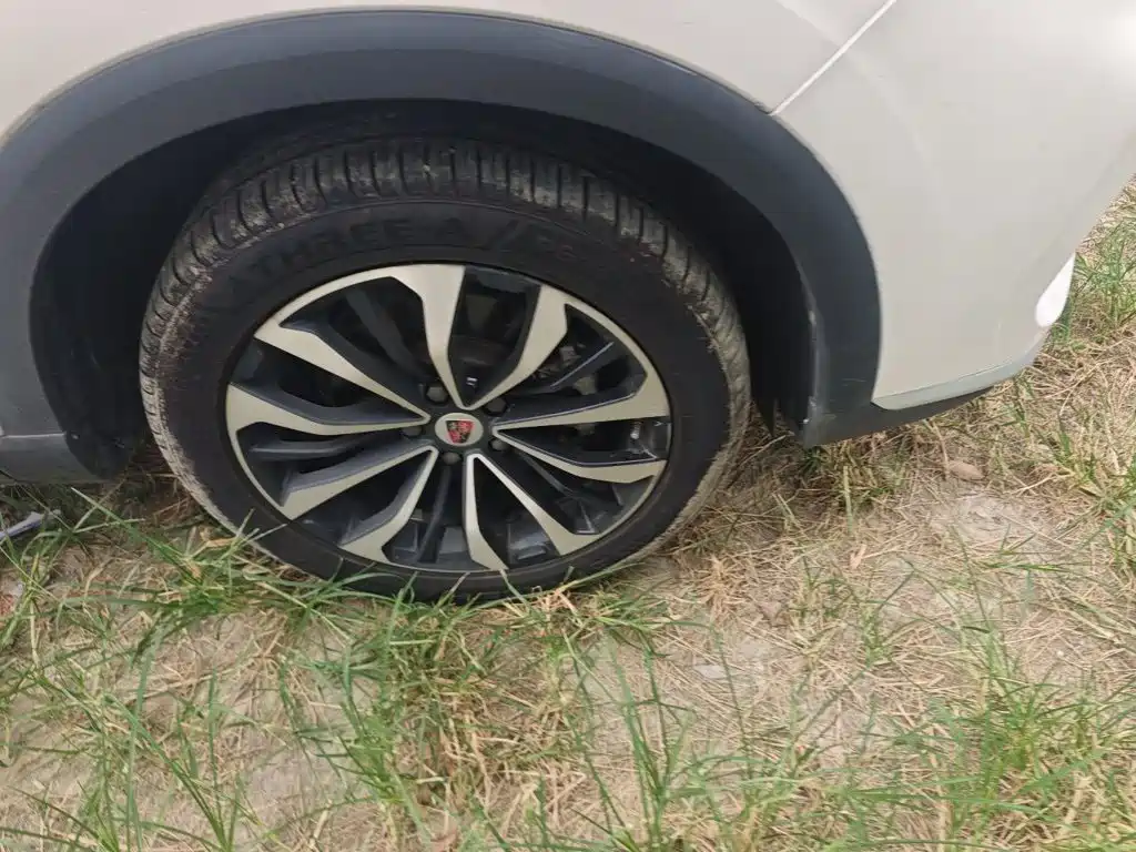 Roewe RX5 eMAX — миниатюра 8