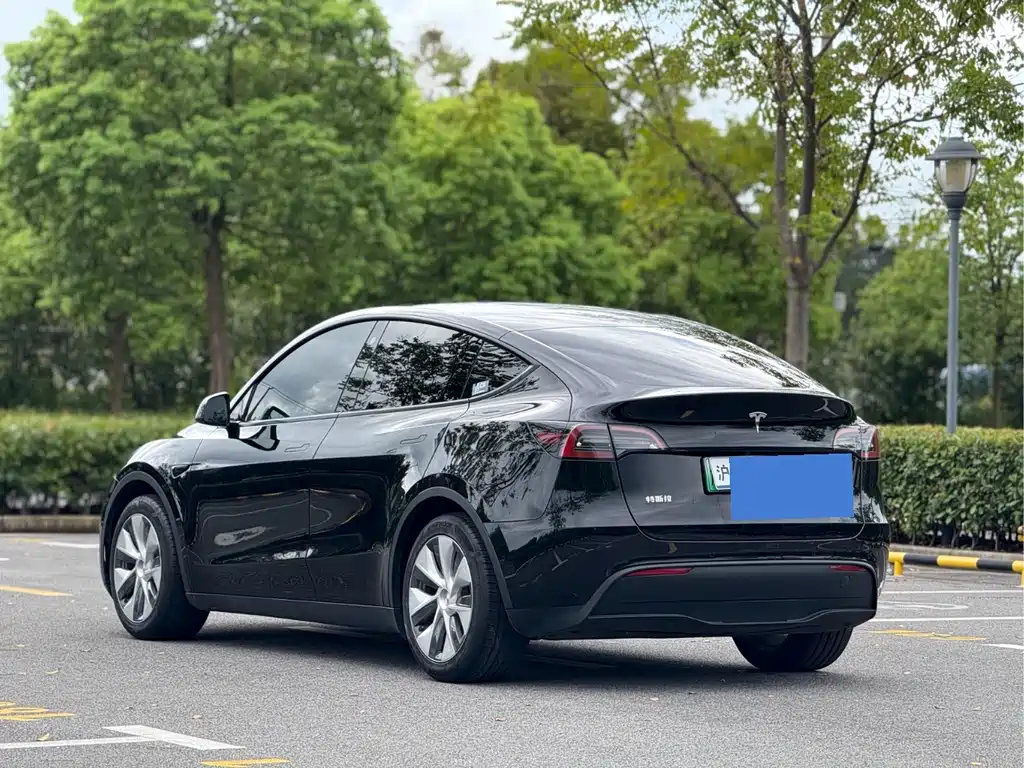 Tesla Model Y — миниатюра 6
