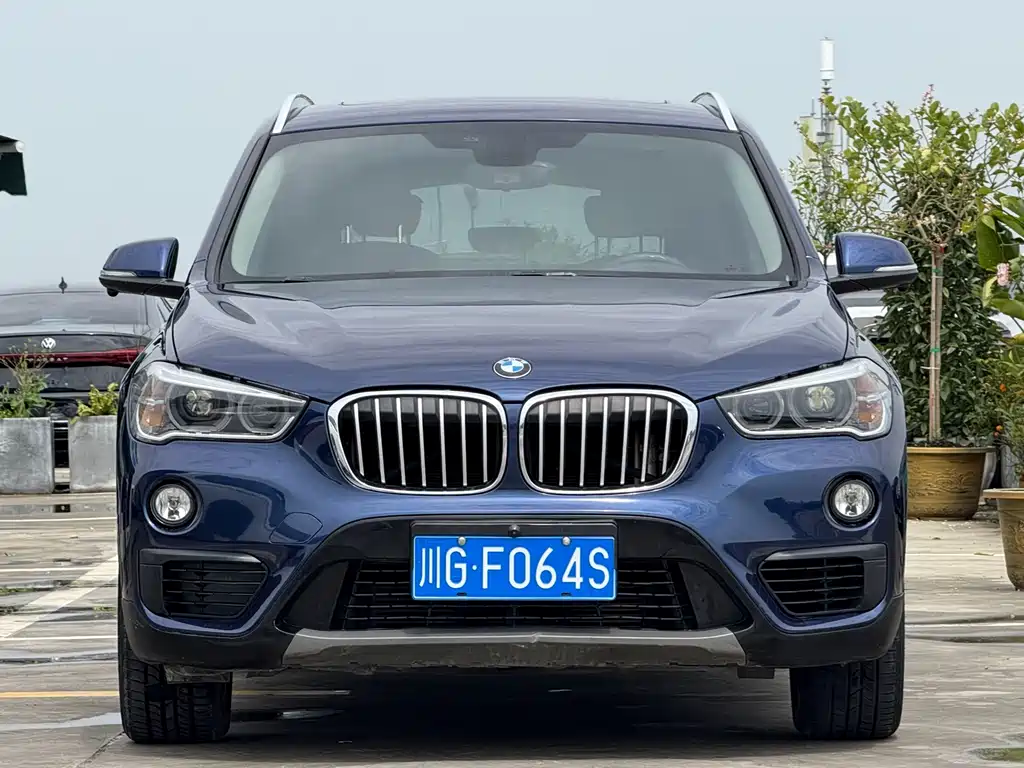 BMW X1 — миниатюра 2